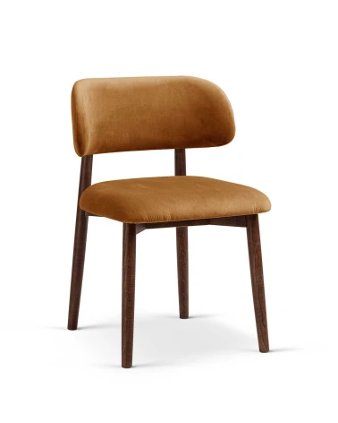 Jedálenská stolička Evan,...